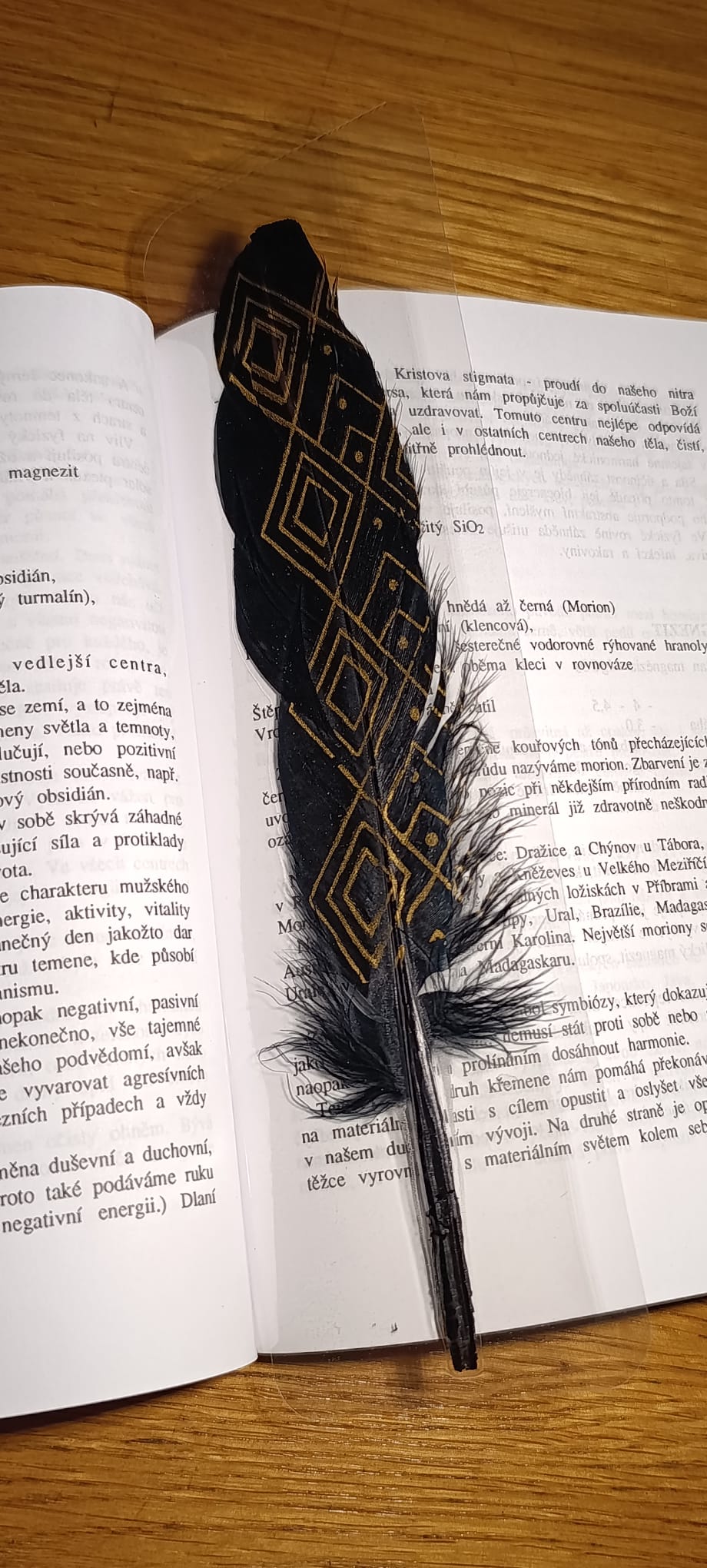 Záložka do knihy OCHRÁNCE ČTOUCÍCH - černé peří - Obrázek 13