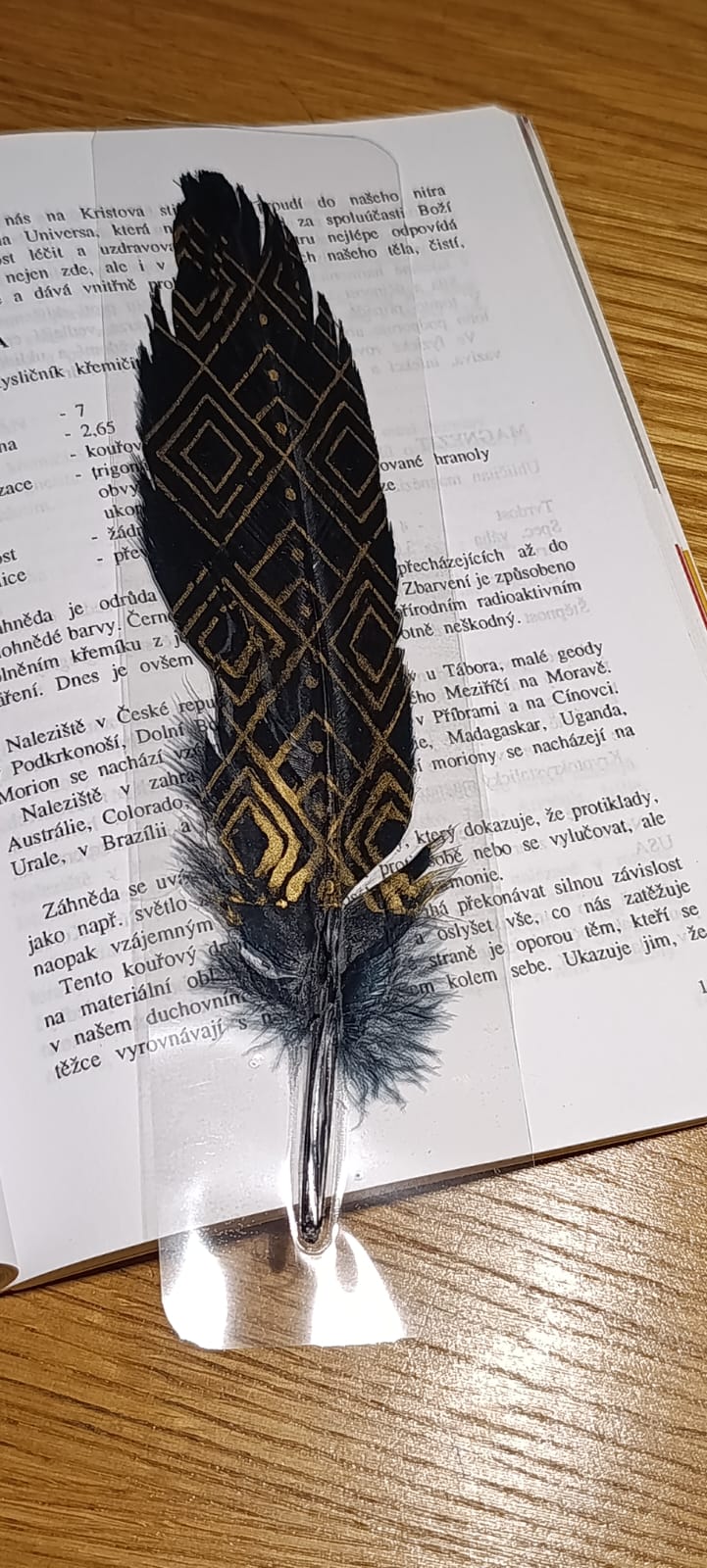 Záložka do knihy OCHRÁNCE ČTOUCÍCH - černé peří - Obrázek 7