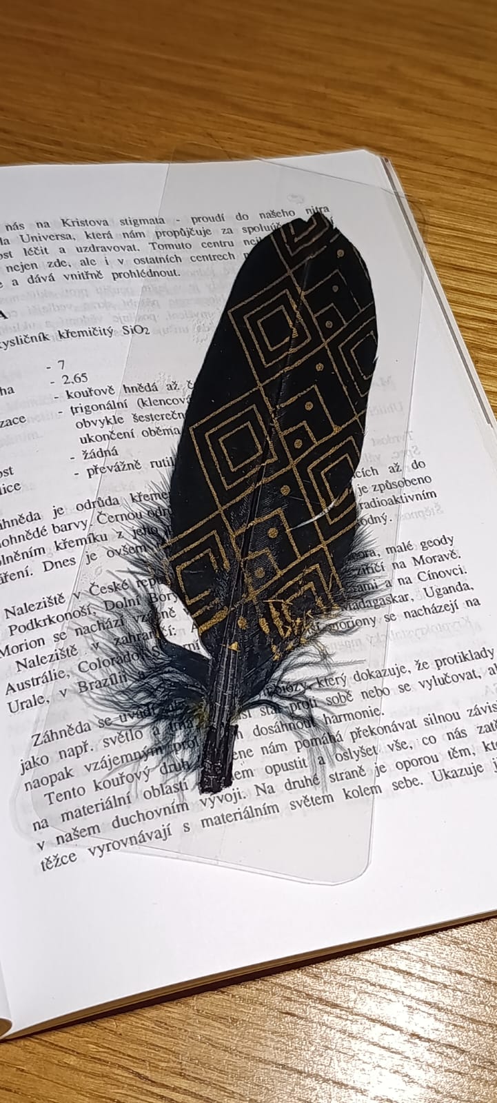 Záložka do knihy OCHRÁNCE ČTOUCÍCH - černé peří - Obrázek 8