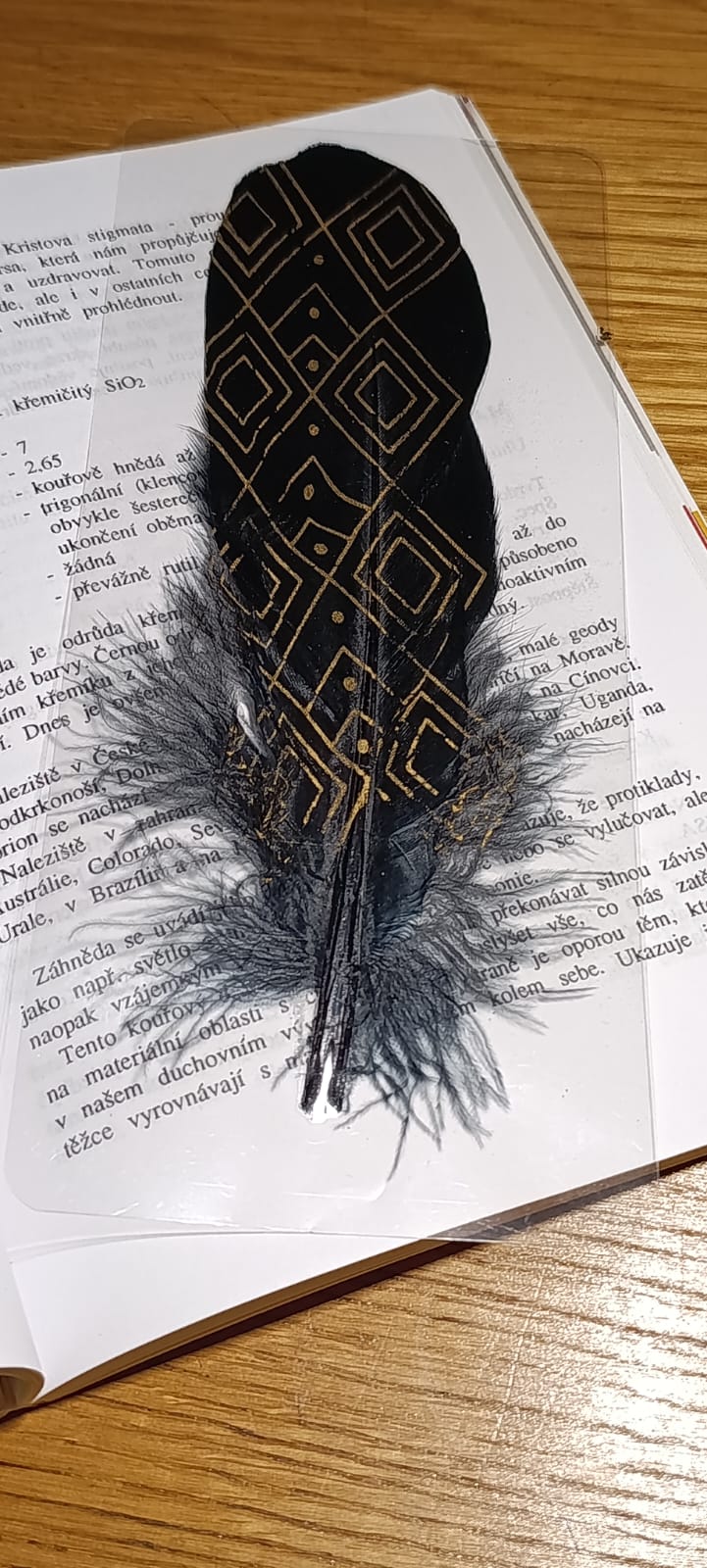 Záložka do knihy OCHRÁNCE ČTOUCÍCH - černé peří - Obrázek 10