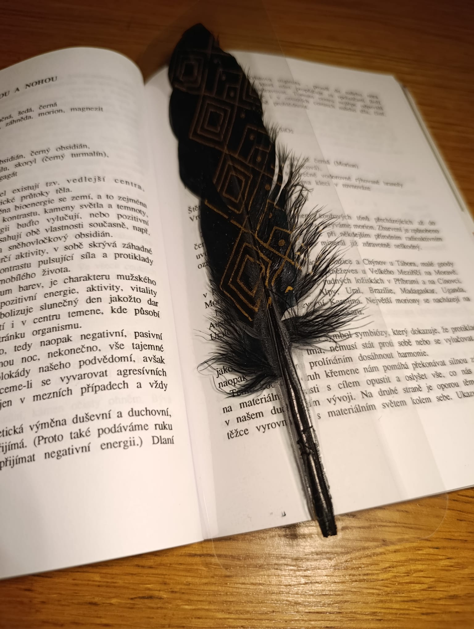 Záložka do knihy OCHRÁNCE ČTOUCÍCH - černé peří