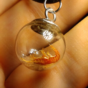 Přívěsek Krevetka