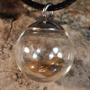 Náhrdelník LEVATKA s ulitami šneků na struně 45-50 cm