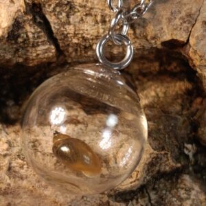 Náhrdelník LEVATKA s ulitami šneků na řetízku 50 cm