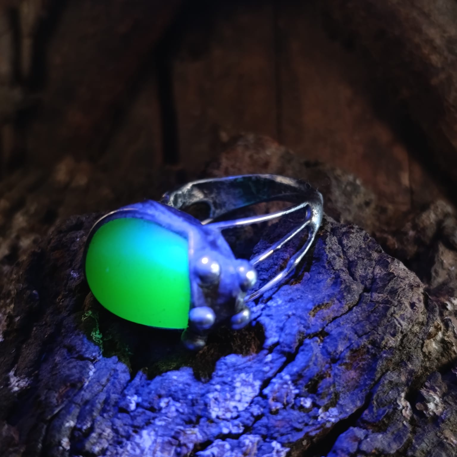 Space Bug - Obrázek 2