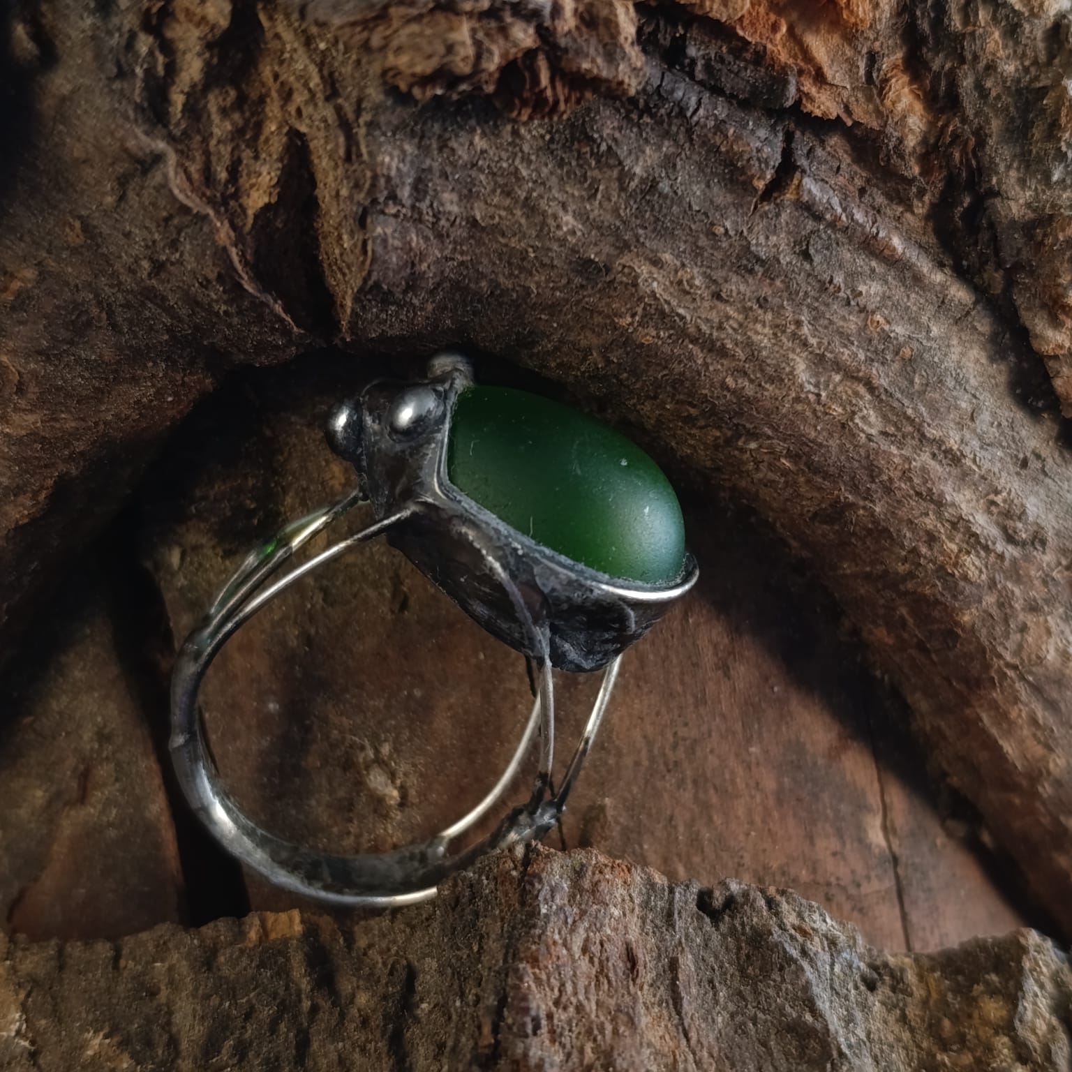 Space Bug - Obrázek 4