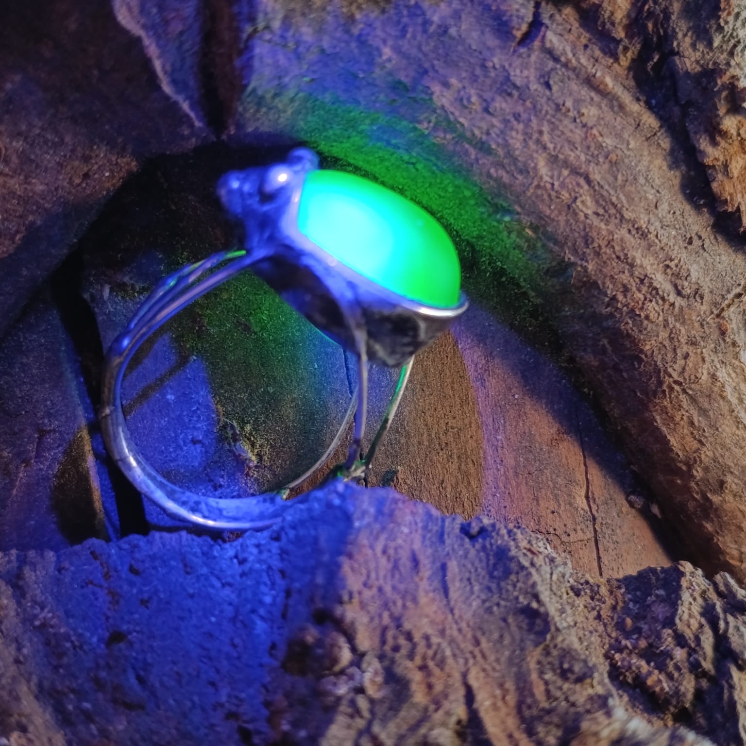 Space Bug - Obrázek 3