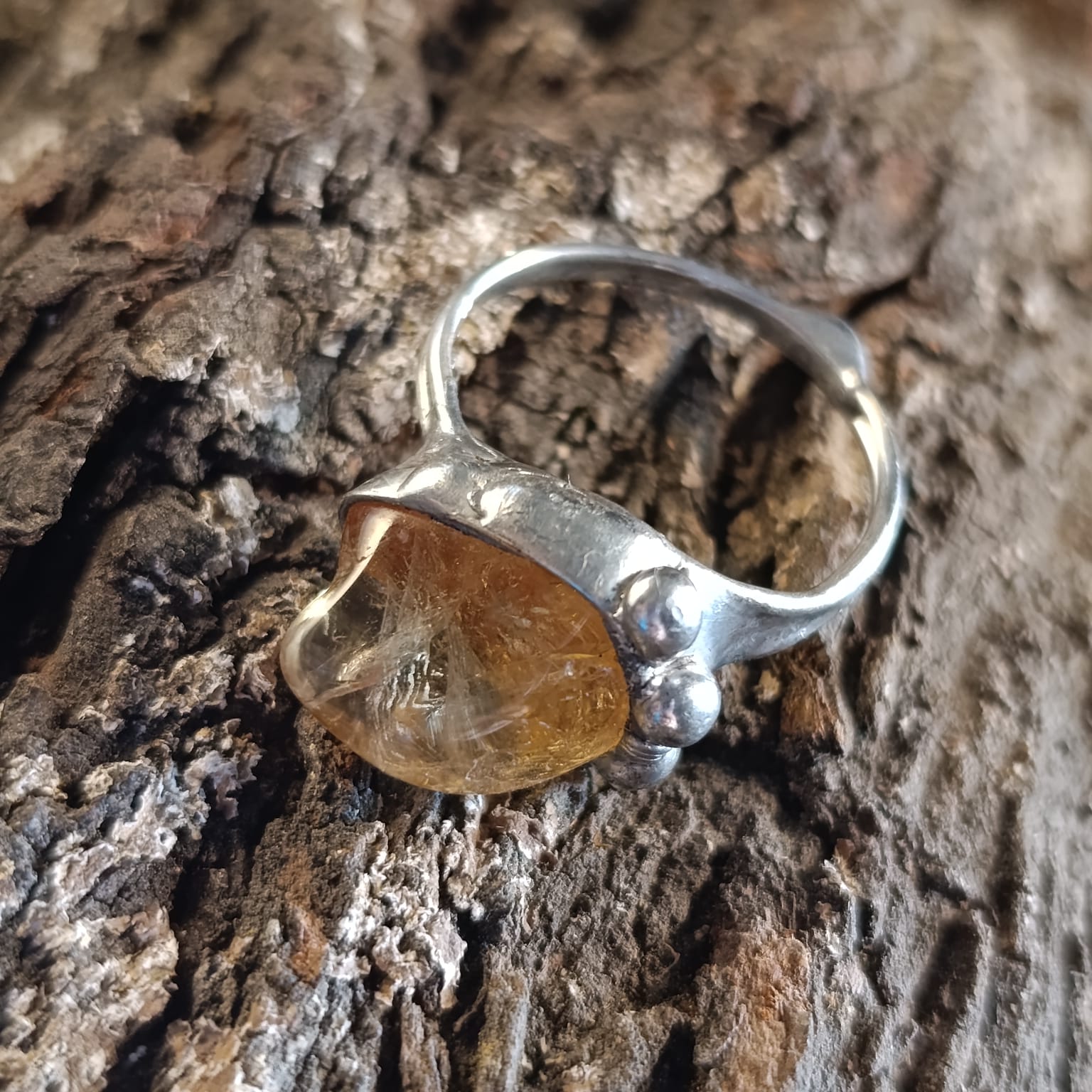 Citrine Shark - Obrázek 5