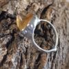 Prsten Citrine Shark obvod 63,5mm