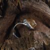 Prsten Citrine Shark obvod 63,5mm
