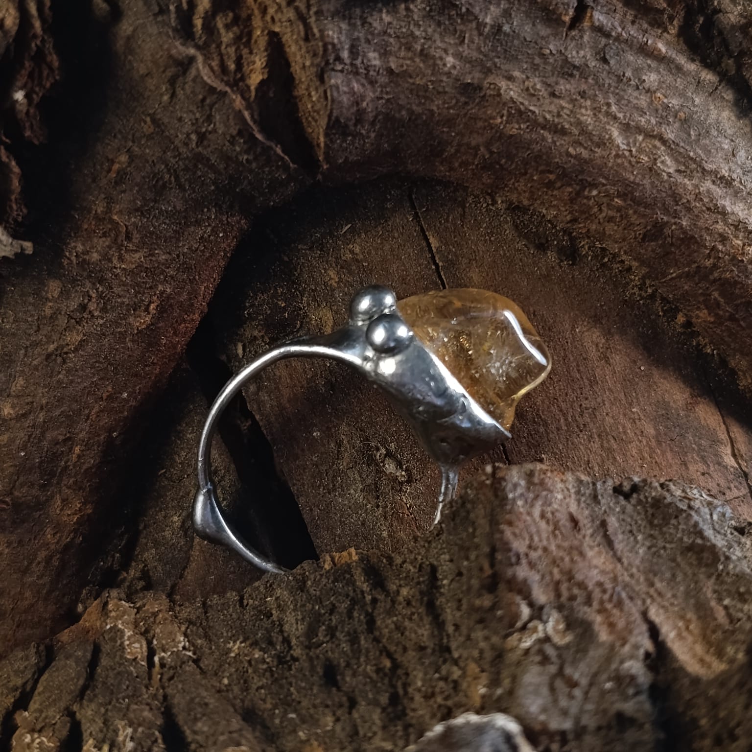 Citrine Shark - Obrázek 2